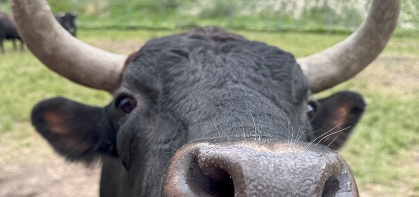 Concours EdelAlp x Reitzel Suisse